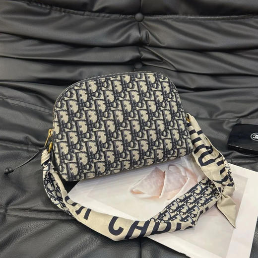 dior 老花 刺绣帆布 贝壳 手拿包 商品图0