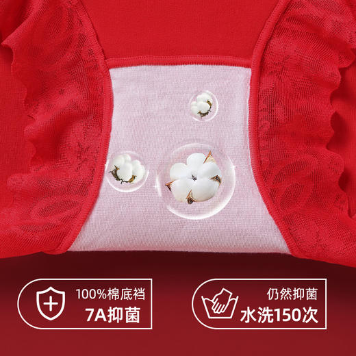 鸿运相伴女士美臀裤（3条装） 商品图5