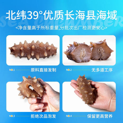 [獐子岛] 小白盒 即食海参( 500g/盒、1188g/盒) 商品图2