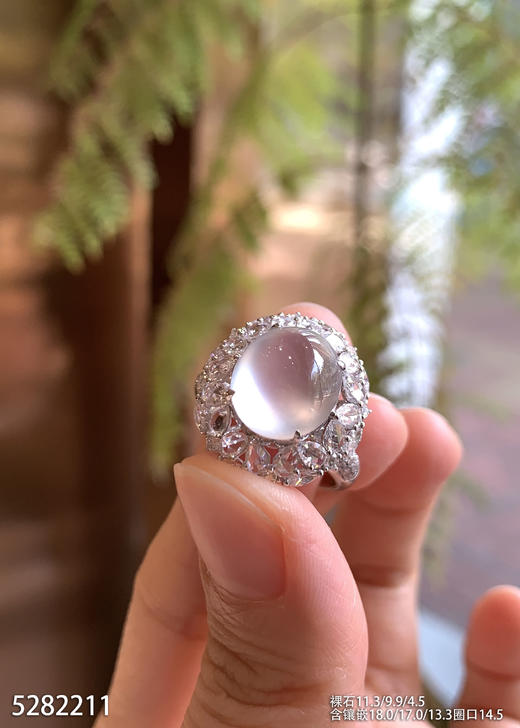 5282211，蛋面戒指。具体价格微信咨询 商品图1