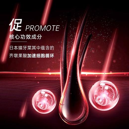 【99元会员福利】卡蓓诺 丰盈润养防脱洗发水350ml（油性脱发） 商品图1