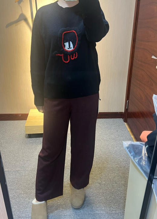 水淼2025冬新款百搭时尚休闲圆领提花柔软毛衣1358 商品图7