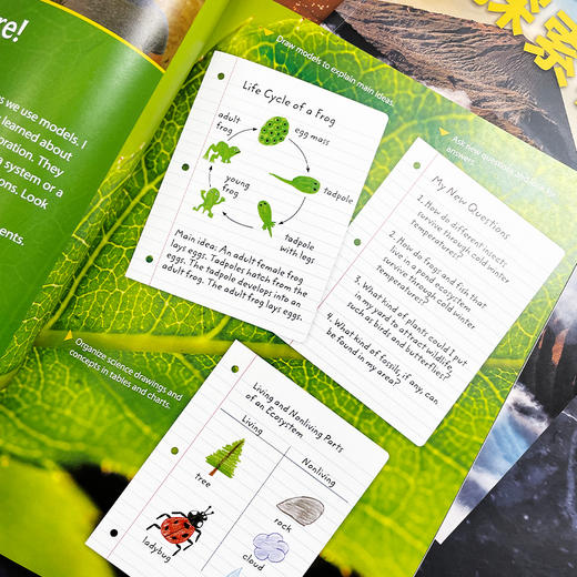 国家地理少儿英语科普读物 商品图3