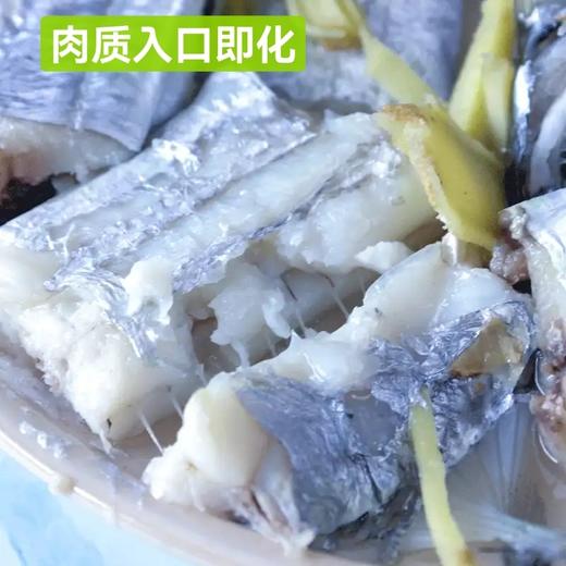 舟山本港野生小眼睛钓带21.8约1.5斤4-5条／，明天到 商品图4