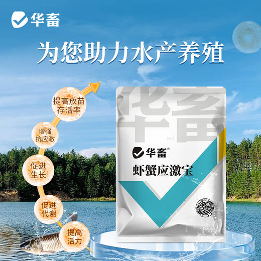 华畜应激宝500g抗应激促生长保苗抗氧化SZ 商品图3
