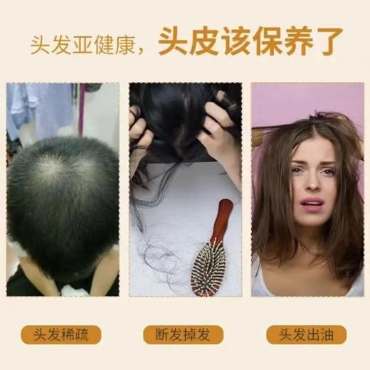 2瓶80ml霸王生姜洗发水防脱控油防掉去屑止痒增发强韧洗发液男女（非卖品字样介意勿拍） 商品图3