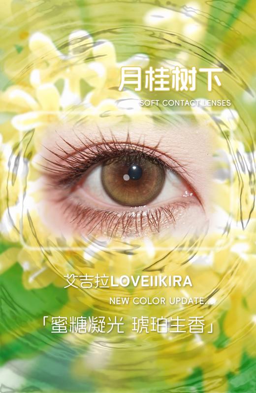 loveiikira半年抛  月桂树下 14.5mm 棕 0-1000 商品图9