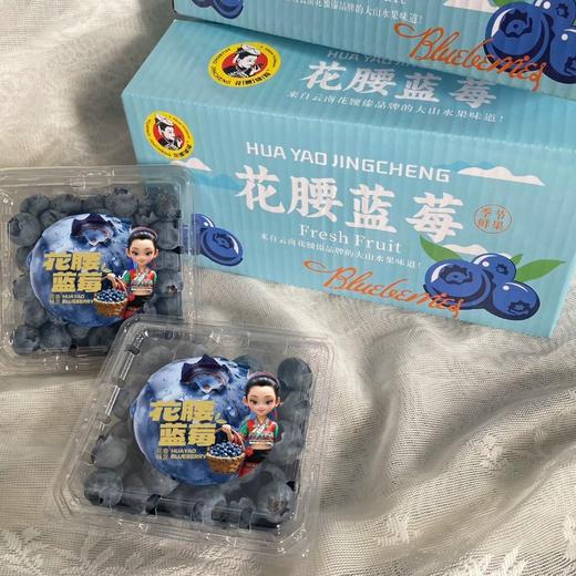 【顺丰空运】云南抚仙湖花腰锦程 L25脆甜花香蓝莓 鲜果枝高山新鲜水果 BHYJC 商品图4