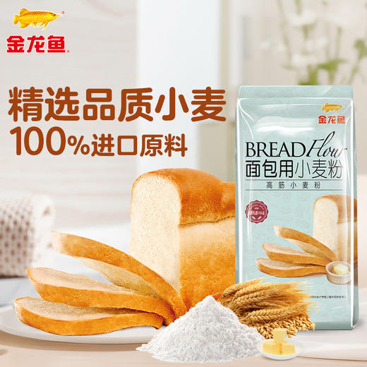 【15.9任选3件】金龙鱼面包用高筋小麦粉500G 商品图0