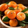 砂糖橘 商品缩略图1