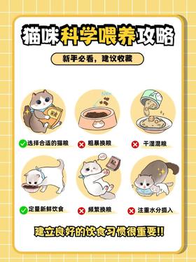 猫咪干粮喂养指南！
