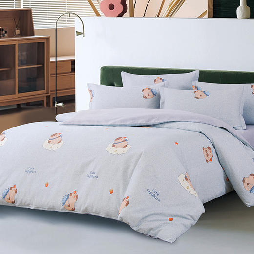 鑫缘 全棉印花磨毛四件套 DMD4418* 商品图7