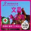 有机大公鸡文昌 净重3斤左右 吃蔬菜/吃粮食/散养/当日屠宰/空运 商品缩略图0