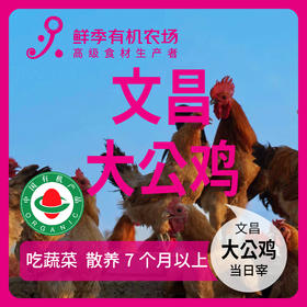有机大公鸡文昌 净重3斤左右 吃蔬菜/吃粮食/散养/当日屠宰/空运