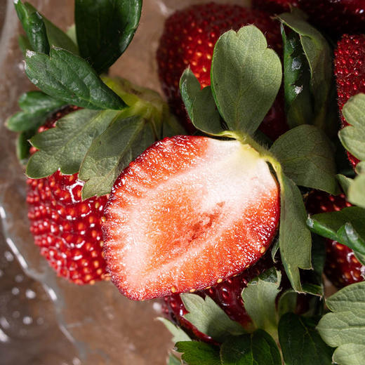 【排单发货】有机草莓丨多品种，红草莓香气浓郁，黑草莓甘甜爽口，粉草莓小清新，叶子较大，介意慎拍，⭐️京东空运 商品图1