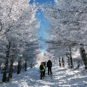 周末/元旦2天【崇礼徒步398元】太舞小镇欧式风情-镜湖环线 连林海-桦皮岭徒步（含温泉）