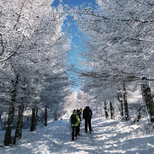 周末/元旦2天【崇礼徒步398元】太舞小镇欧式风情-镜湖环线 连林海-桦皮岭徒步（含温泉） 商品图0