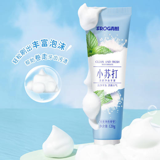 青蛙成人套装系列B 670牙刷*2+青蛙清新净齿牙膏GH962*1 商品图1