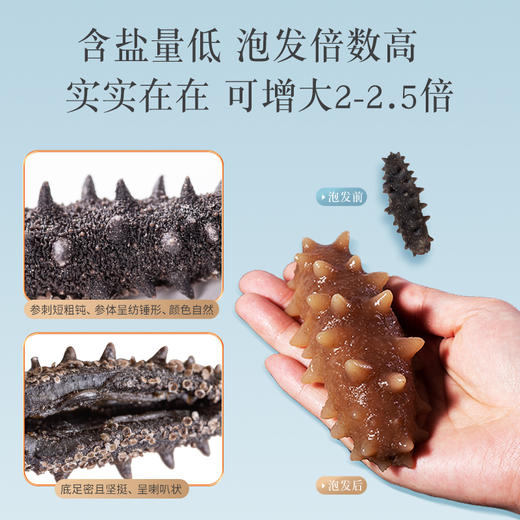 [獐子岛] 净制淡干海参 纵山海 (90g/盒、100g/盒) 商品图2