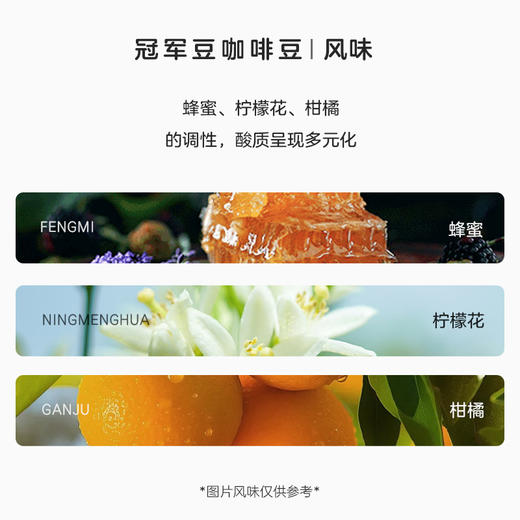 比顿咖啡  小粒咖啡烘焙豆 冠军豆 商品图1