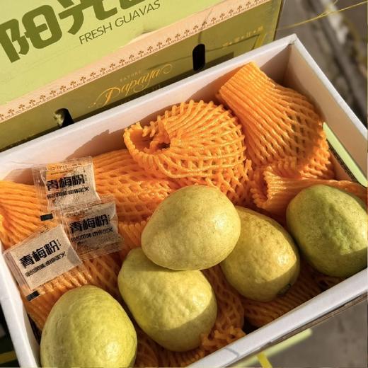 老树奶油芭乐【4斤】~皮奶白色/淡黄色，果肉软糯，清甜口，冰淇淋一样的口感，浓烈的芭乐香，减肥三高人士首选！ 商品图2