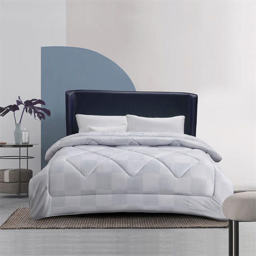 【岁末有礼】水星  羽格暖阳抗菌 羊毛被 商品图0