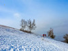 【北灵踏雪1日】偶遇云海雾凇-高山雪原白桦林踏雪の北灵山10公里徒步 商品缩略图7