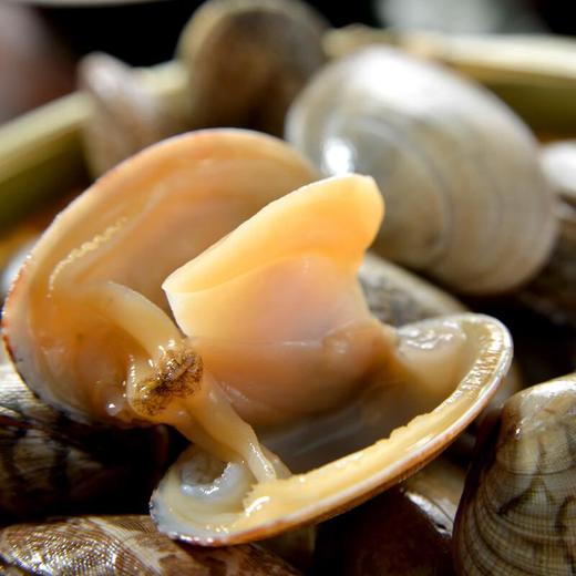 花甲中号 约500g/份 商品图2