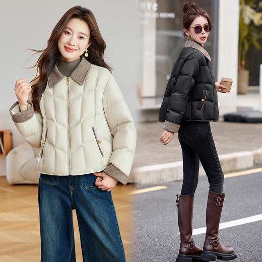 HR WYN1077优雅风羽绒服时尚polo领90绒轻薄羽绒外套 商品图2