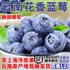 【顺丰空运】云南抚仙湖花腰锦程 L25脆甜花香蓝莓 鲜果枝高山新鲜水果 BHYJC 商品缩略图0