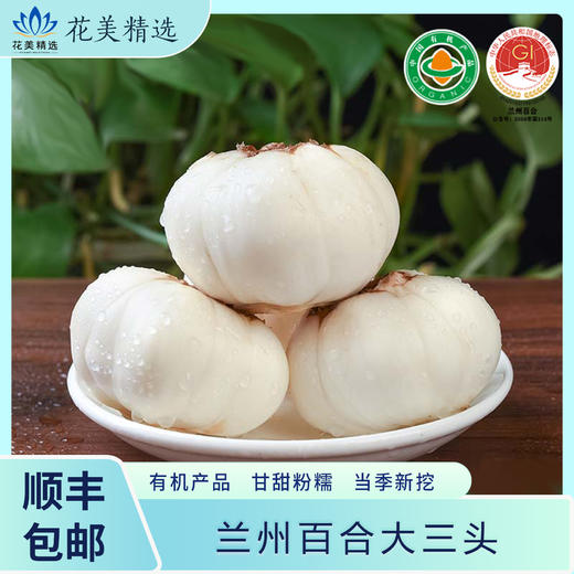 有机兰州鲜百合    新鲜特级食用甜百合 商品图1