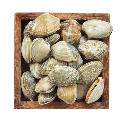 文蛤 约250g/袋 商品图1