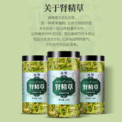 【甄选原料匠心制作❗️汤色透亮干净无杂】肾精草中药材黄金草中草药化石草强经茶叶亳州养生花茶。jb 商品图1