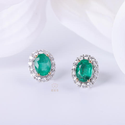 【春光明媚】祖母绿耳钉   CB12503059 商品图0