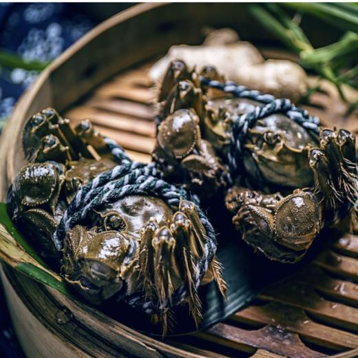 洪泽湖大闸蟹（母蟹140-150g)/只 商品图0