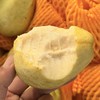 老树奶油芭乐【4斤】~皮奶白色/淡黄色，果肉软糯，清甜口，冰淇淋一样的口感，浓烈的芭乐香，减肥三高人士首选！ 商品缩略图3