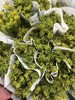 茴香花一扎 商品缩略图2