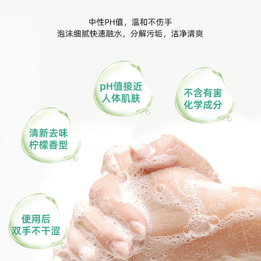 美穗吉家 清新柠檬洗洁精500g-81945 商品图2