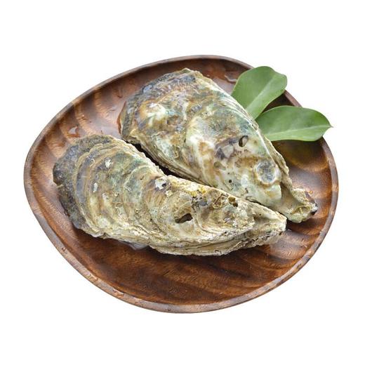 生蚝 /1只 商品图2