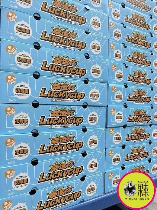 喵眼蓝莓幸运杯礼盒杯杯新鲜蓝莓15mm+中大果包邮 商品图5