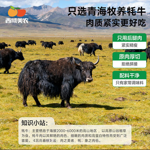 西域美农 人类牦条  牦牛肉干 手撕牦牛肉干 原味/麻辣 解馋即食零食 顺丰发货 商品图3