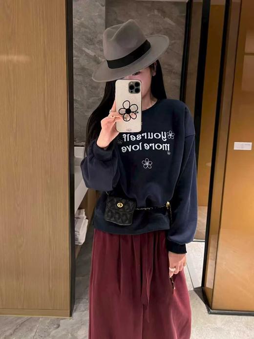 🔥🔥🔥奥粒绒厚款【重工刺绣】95%棉 2025精致花朵字母宽松短款卫衣-喜出 商品图3