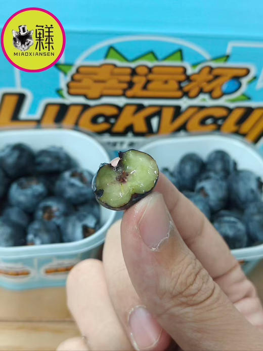喵眼蓝莓幸运杯礼盒杯杯新鲜蓝莓15mm+中大果包邮 商品图1