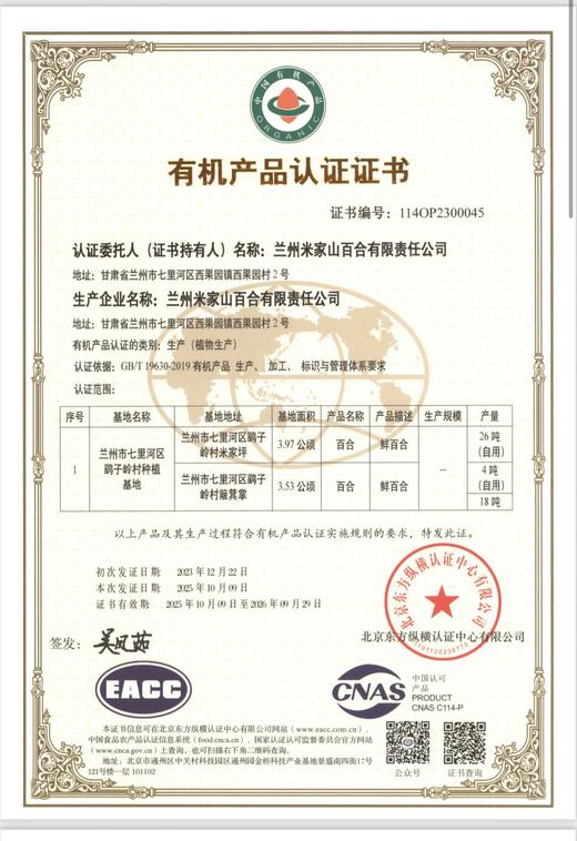 有机兰州鲜百合    新鲜特级食用甜百合 商品图5