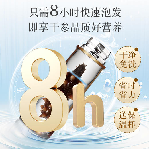 [獐子岛] 净制淡干海参 纵山海 (90g/盒、100g/盒) 商品图9