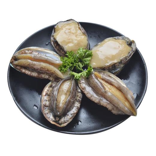 鲍鱼13-15头/1只 商品图3