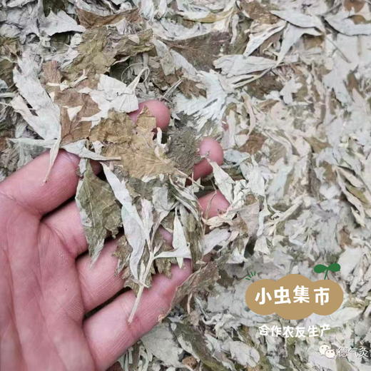 生态艾贴系列（暖艾贴/暖膝贴/腰腹贴）I合作农友生产，来自河南南阳，生产者：庄敏 *【公平贸易农人定价】 商品图7