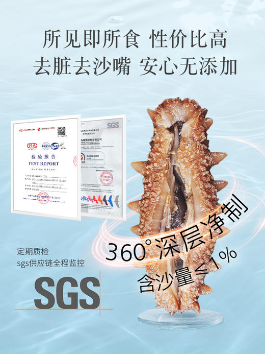 [獐子岛] 净制淡干海参 纵山海 (90g/盒、100g/盒) 商品图4