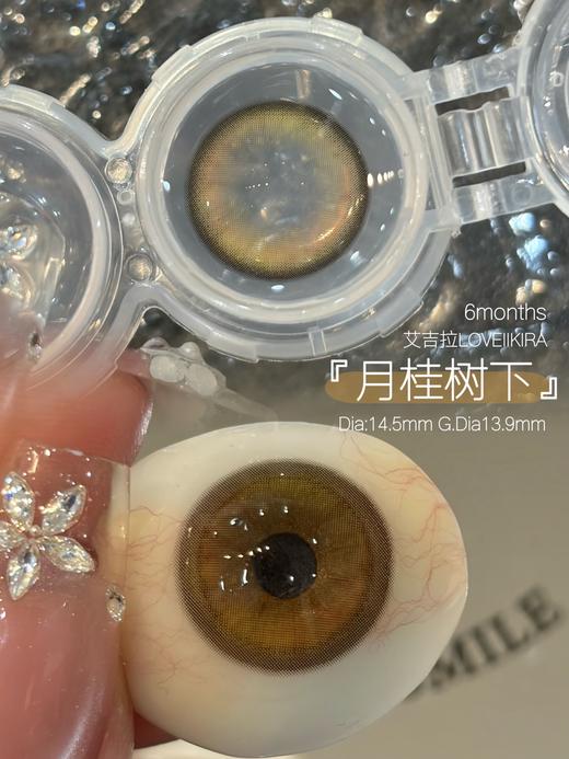 loveiikira半年抛  月桂树下 14.5mm 棕 0-1000 商品图7