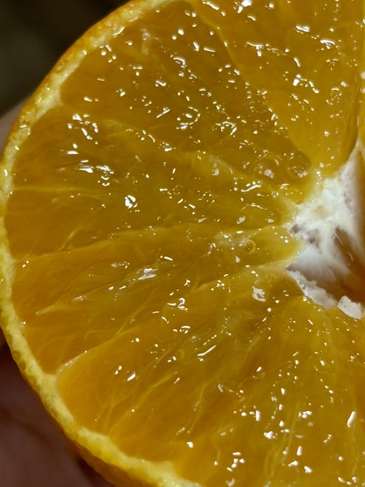 2025年第一票红美人 鲜嫩开启 口感迷人！ 商品图0